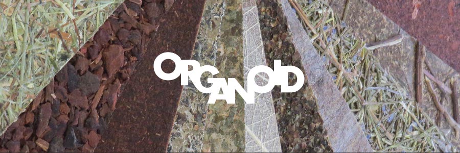 ORGANOID