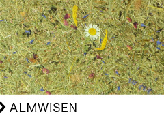 ALMWISEN