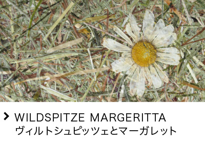 WILDSPITZE MARGERITTA BgVsbcFƃ}[Kbg