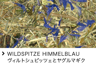 WILDSPITZE HIMMELBLAU BgVsbcFƃO}MN