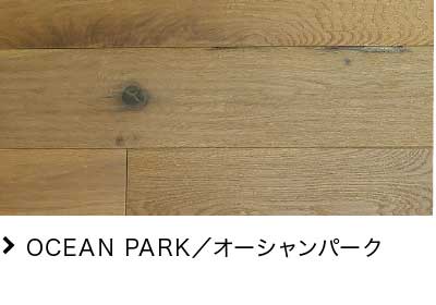 OCEAN PARK^I[Vp[N