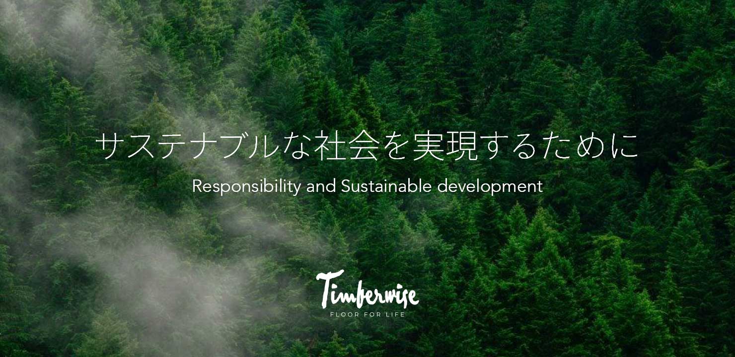 TXeiuȎЉ邽߂ Responsibility and Sustainable development