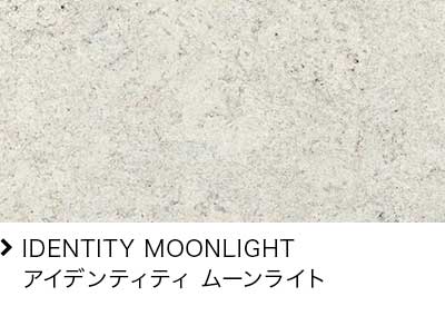 IDENTITY MOONLIGHT/ACfeBeB [Cg