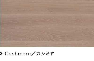 Cashmere/カシミヤ