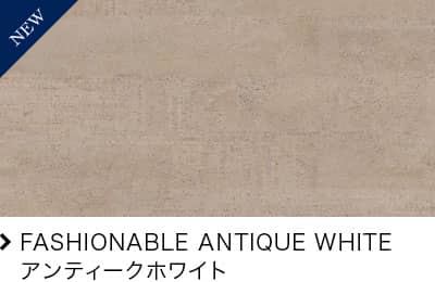 FASHIONABLE ANTIQUE WHITE AeB[NzCg