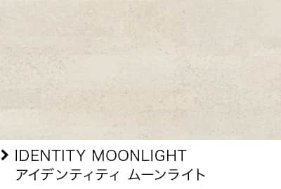 IDENTITY MOONLIGHT ACfeBeB [Cg