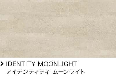 IDENTITY MOONLIGHT ACfeBeB [Cg