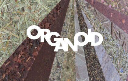 ORGANOID